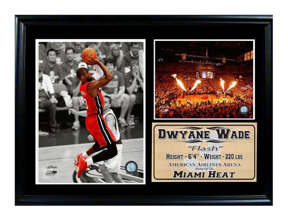 12x18 Photo Stat Frame - Dwayne Wade Miami Heat