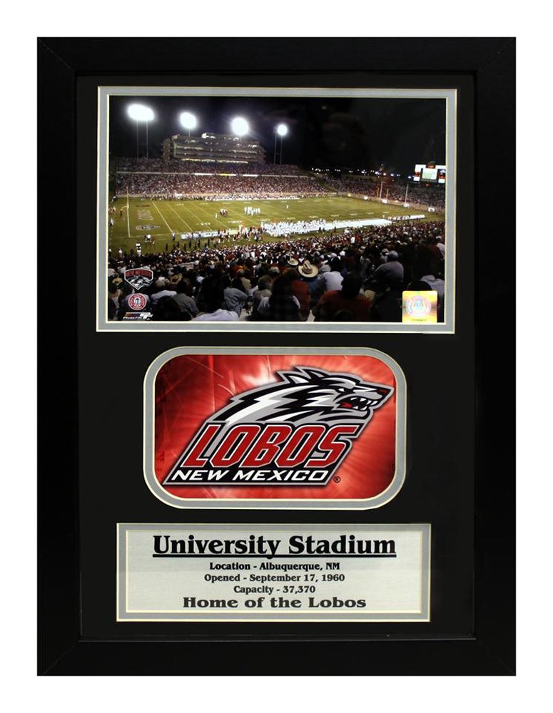 12x18 Patch Frame - University of New Mexico