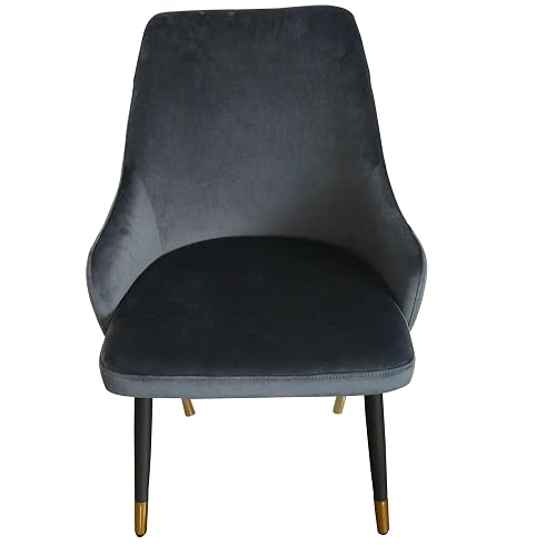 Zini 25 Inch Cushioned Dining Chair, Set of 2, Gray, Black, Gold Metal