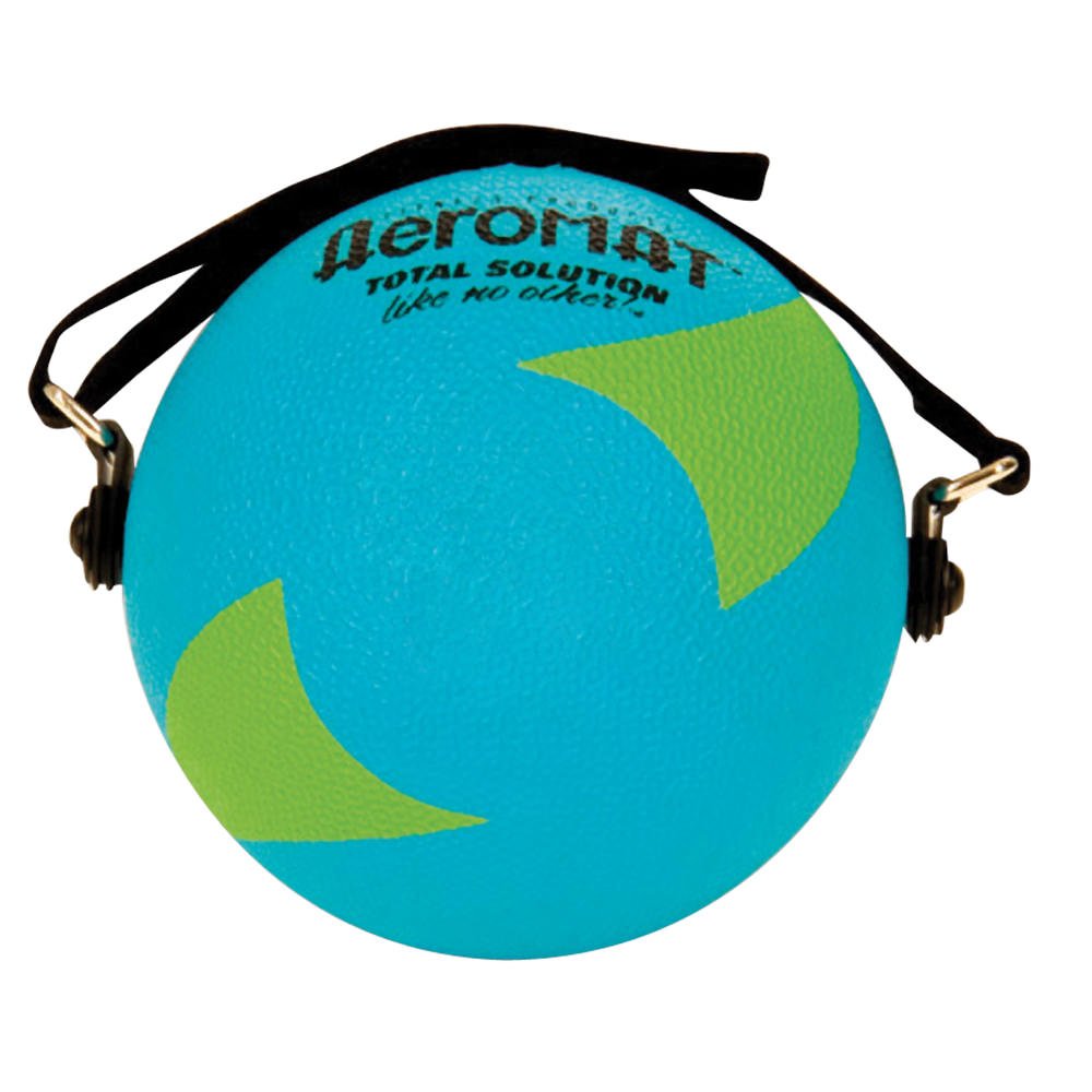 Power Yoga/Pilates Weight Ball - 5 diameter - 3 LB Teal / Green