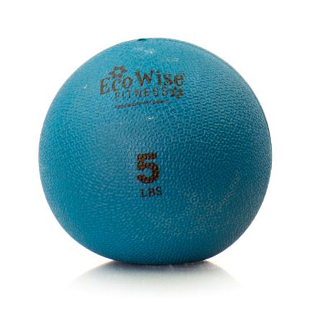 EcoWise Weight Ball - 5 LB (Blue Dahlia)