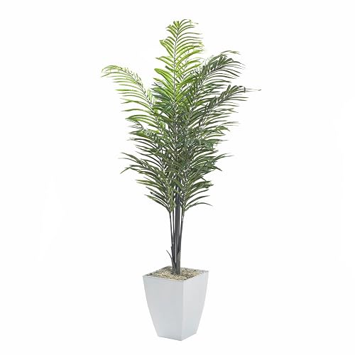 7 Areca Palm in White Square Metal Planter