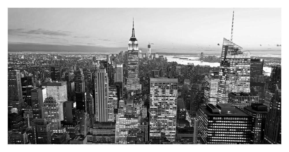 Aerial view of Manhattan, NYC-Paper Art-38x20”