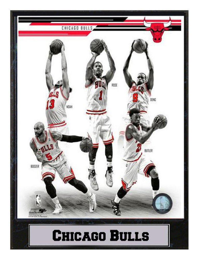 9x12 Plaque - 2014 Chicago Bulls