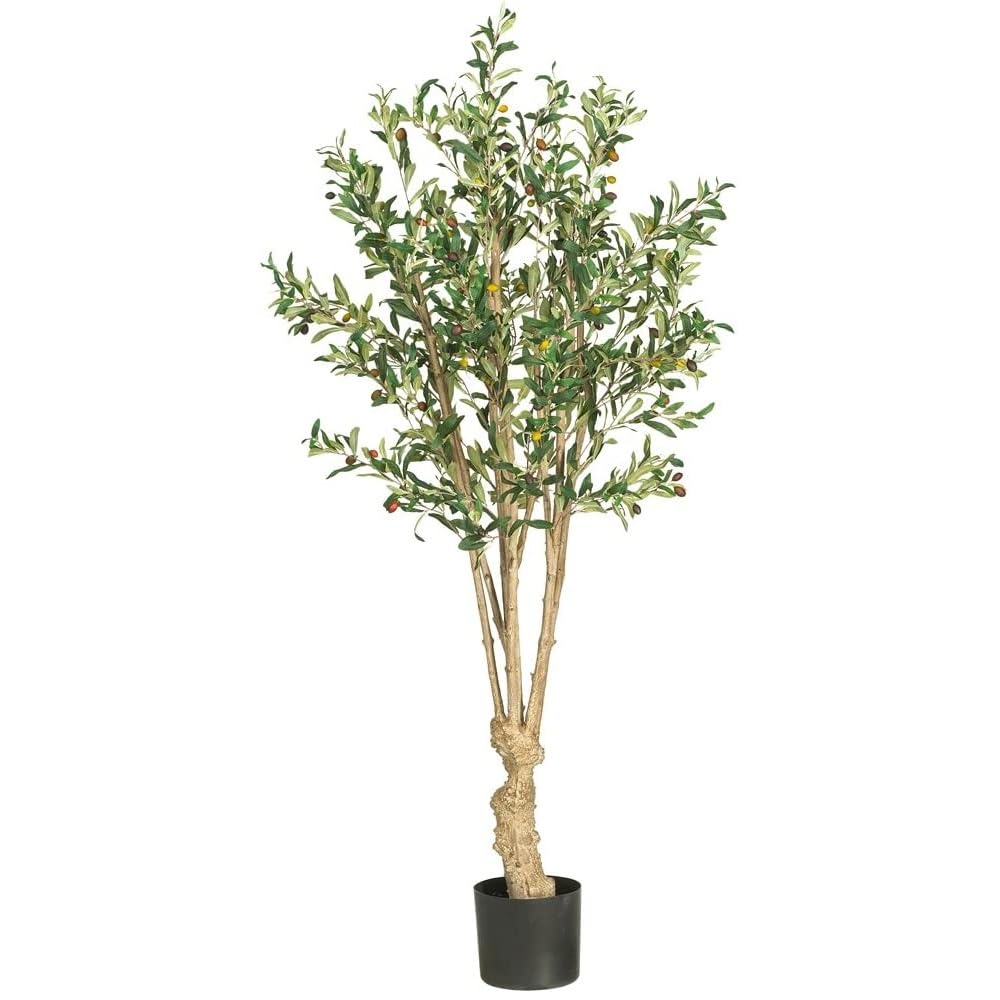 5 Olive Silk Tree