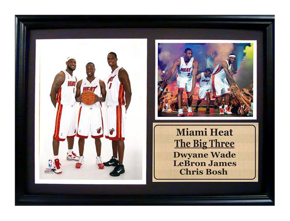 12x18 Photo Stat Frame - Miami Heat