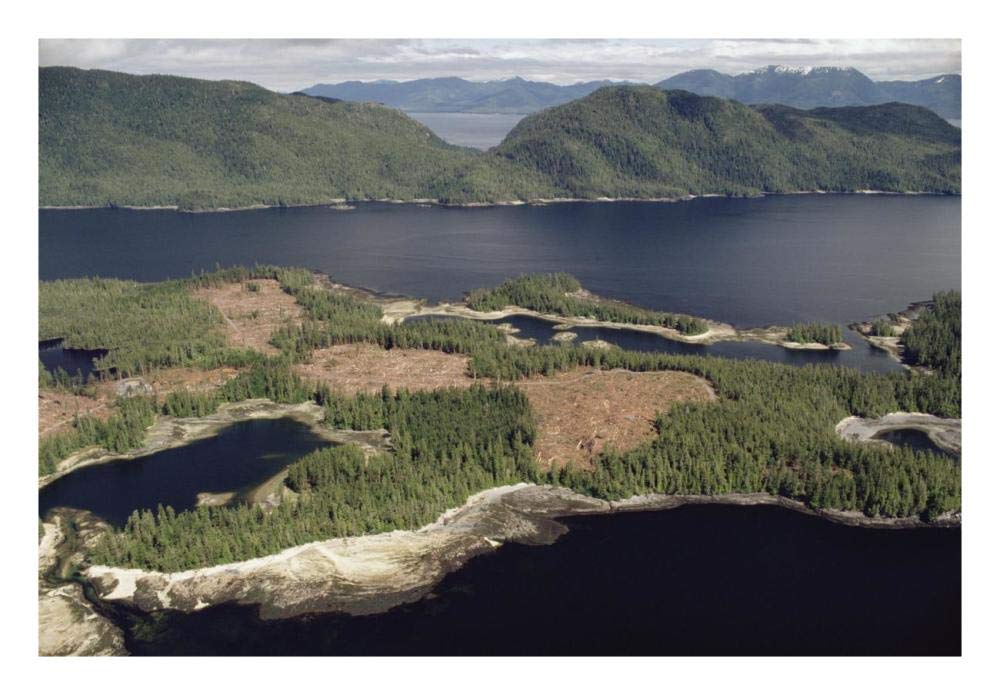Aerial view of clearcut temperate rainforest on Prince of Wales Island, Tongass National Forest, Alaska-Paper Art-26x18”