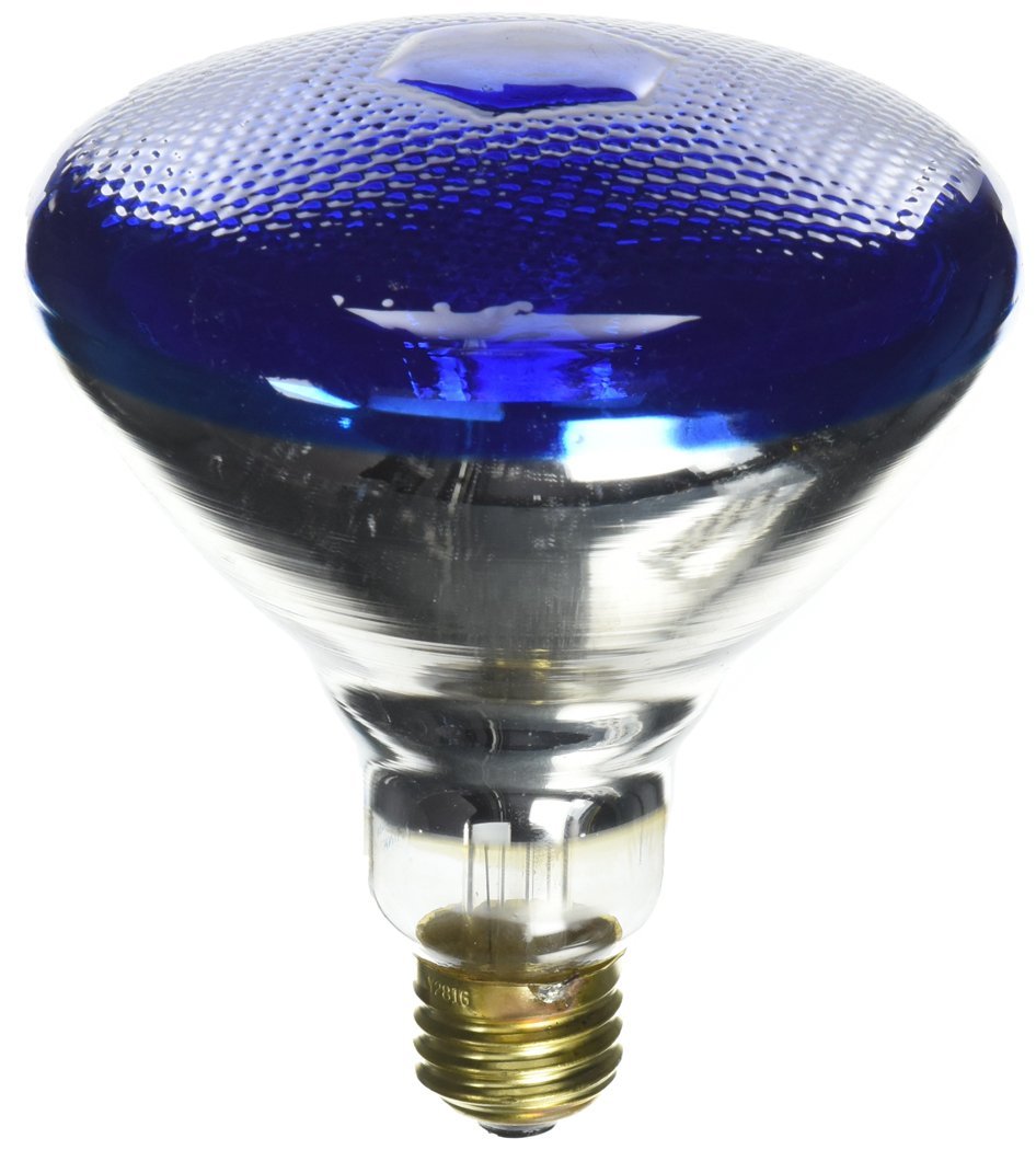 Westinghouse Lighting 0441400 100 Watt 120 Volt Blue Flood Br38 Incandescent Light Bulb