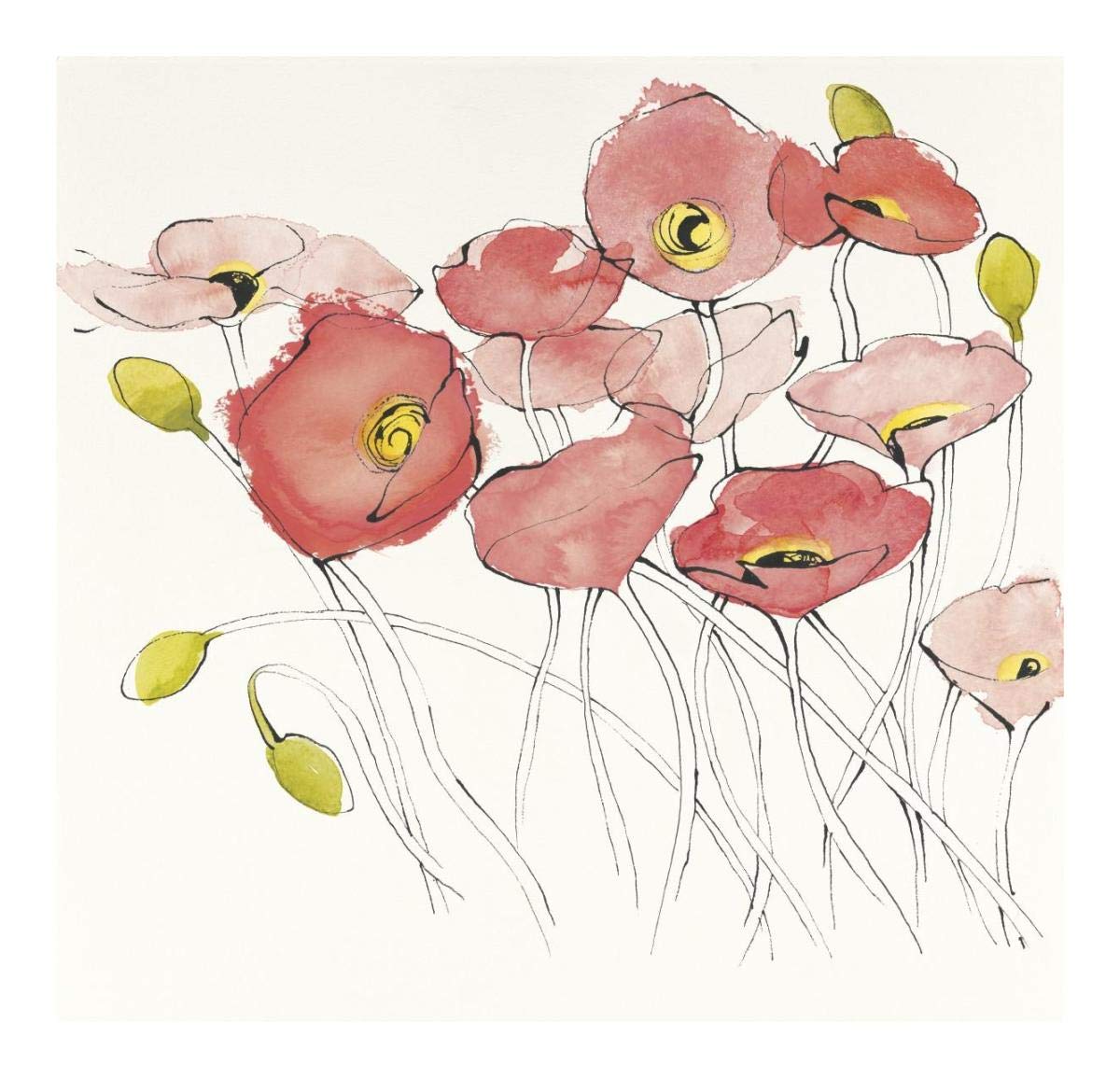 Black Line Poppies I Watercolor -Paper Art-20x20”