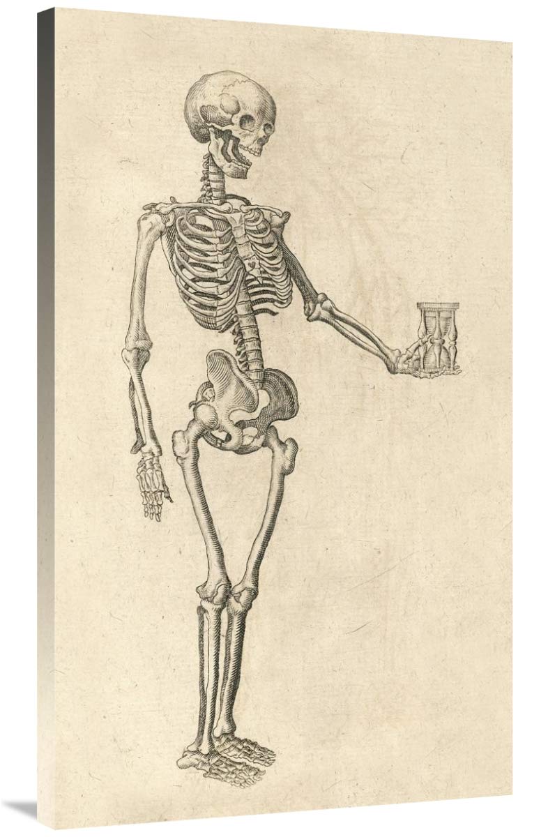 Human Skeleton with Hourglass-Canvas Art-24x40”