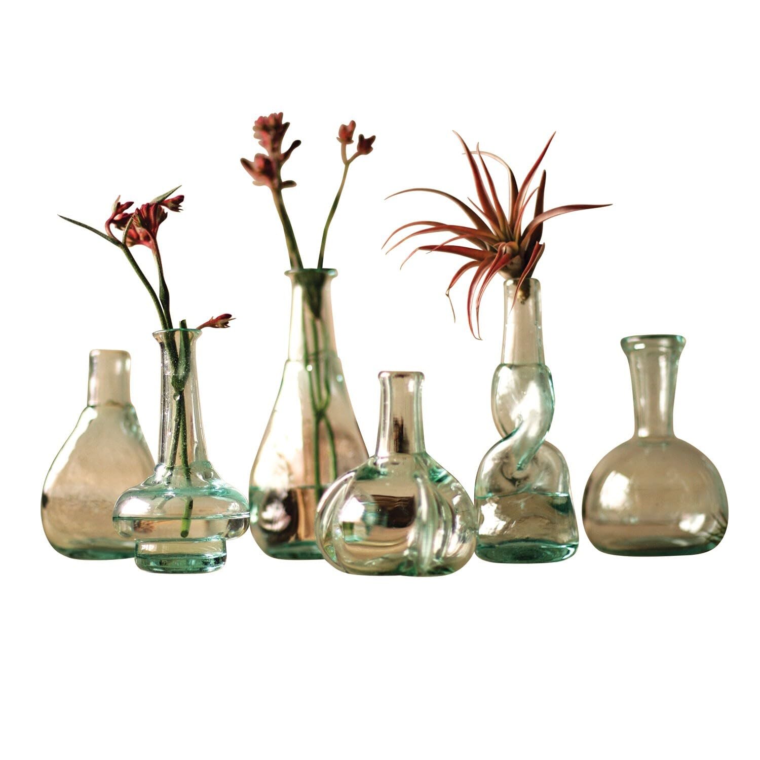 Set Of Six Bottle Bud Vases