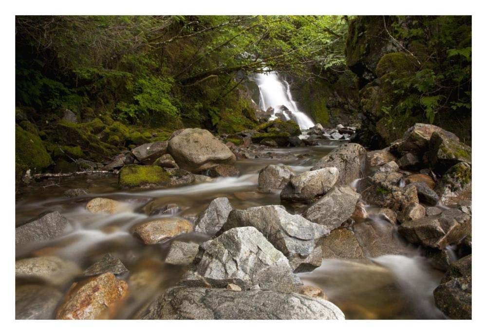 Unnamed waterfall along South Tongass Highway, Ketchikan, Alaska-Paper Art-32x22”