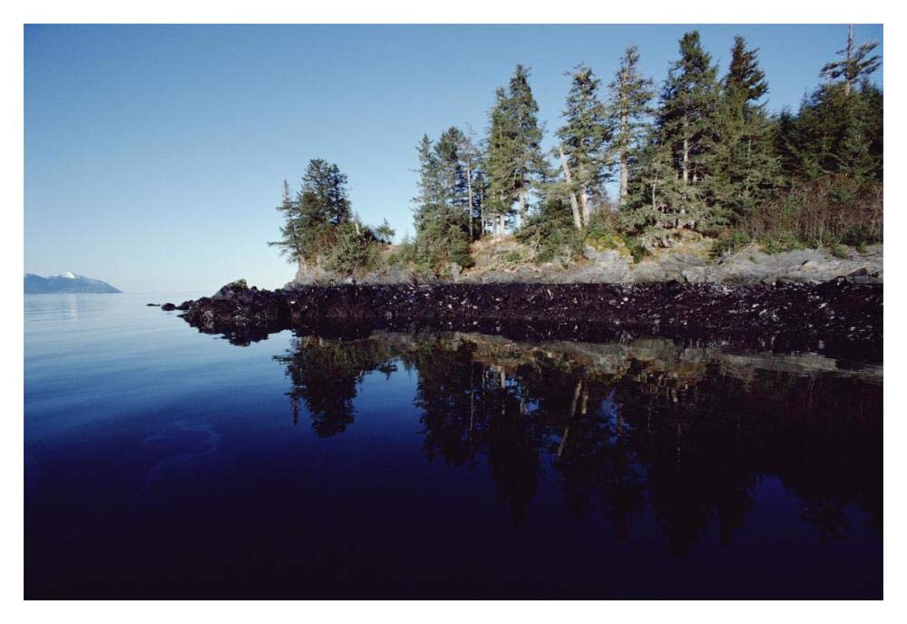 High tide mark shows oil spilled by Exxon Valdez, Prince William Sound, Alaska-Paper Art-20x14”