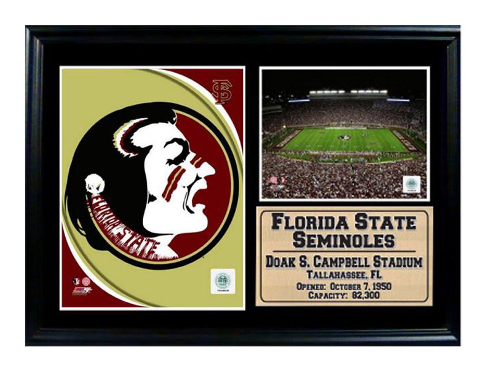 12x18 Photo Stat Frame - Florida State Logo