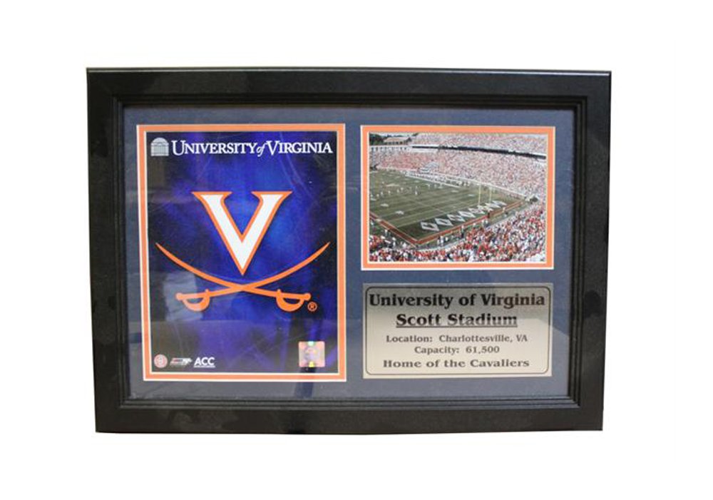University of Virginia 12x18 Photo Stat Frame