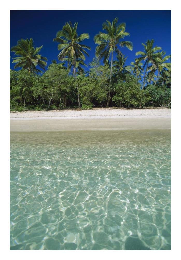 Tropical scene with palm trees, Uoleva Island, Haapai Group, Tonga-Paper Art-18x26”