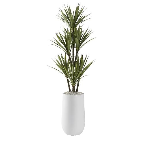 52 Yucca Tree in Small Round White Planter