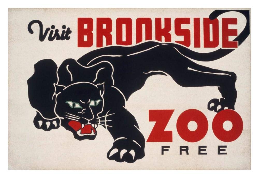 Brookfield Zoo - Panther-Paper Art-32x22”