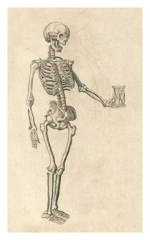 Human Skeleton with Hourglass-Paper Art-20x32”