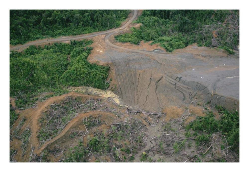 Rainforest logging activities near eastern boundary of the Kikori Delta, Papua New Guinea-Paper Art-26x18”