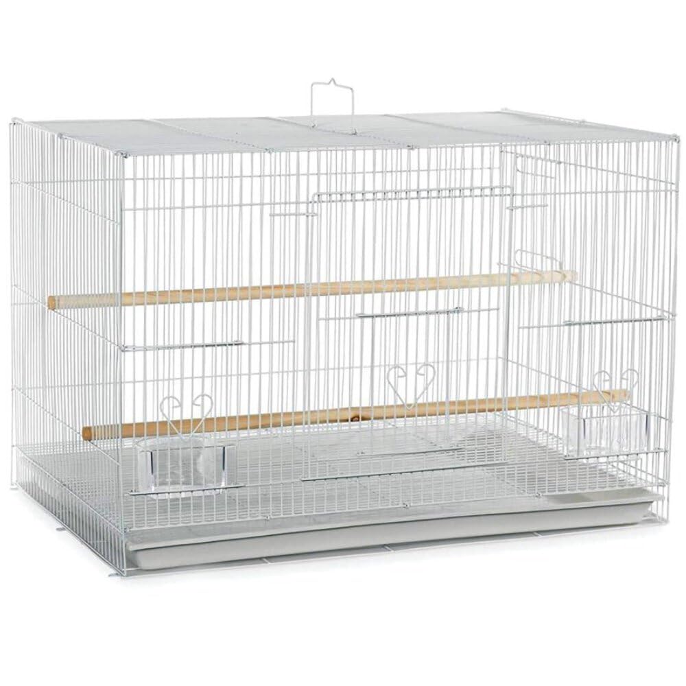 24x16??Flight Cage in Color Retail Box (single pack)