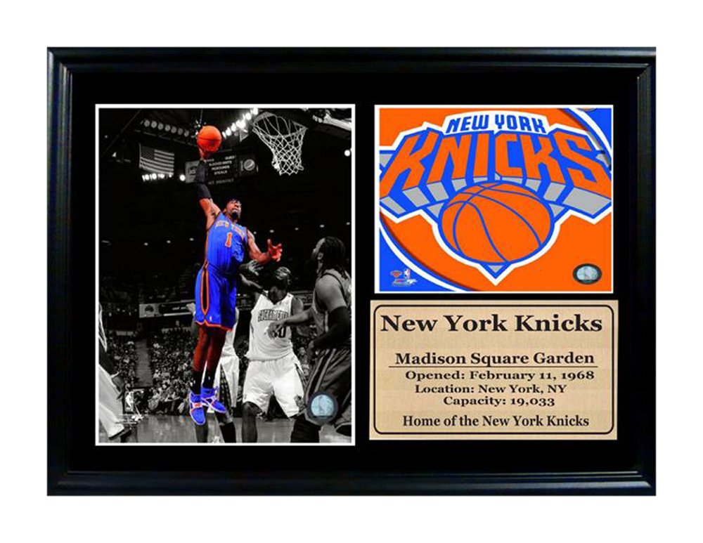12x18 Photo Stat Frame  - Amare Stoudemier New York Knicks