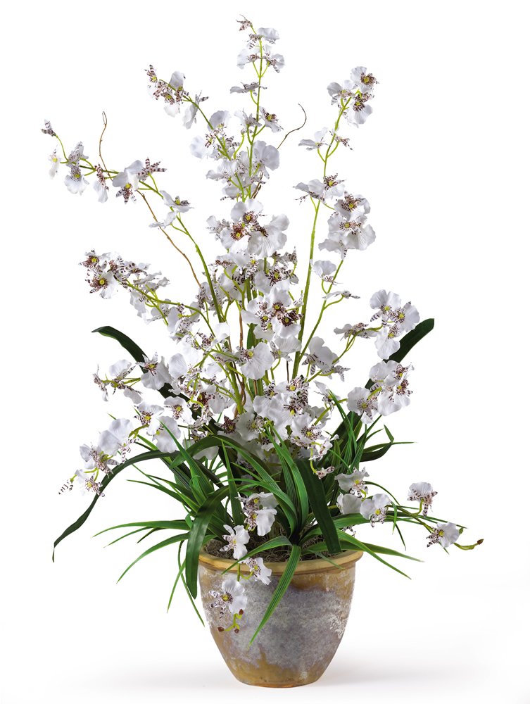 Dancing Lady Silk Orchid Arrangement