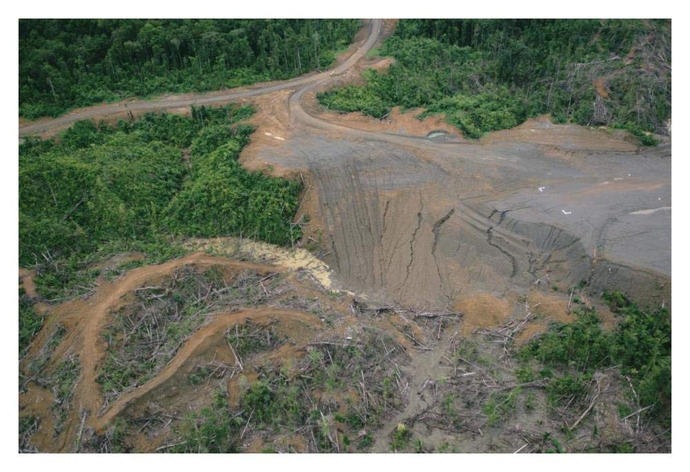 Rainforest logging activities near eastern boundary of the Kikori Delta, Papua New Guinea-Paper Art-38x26”