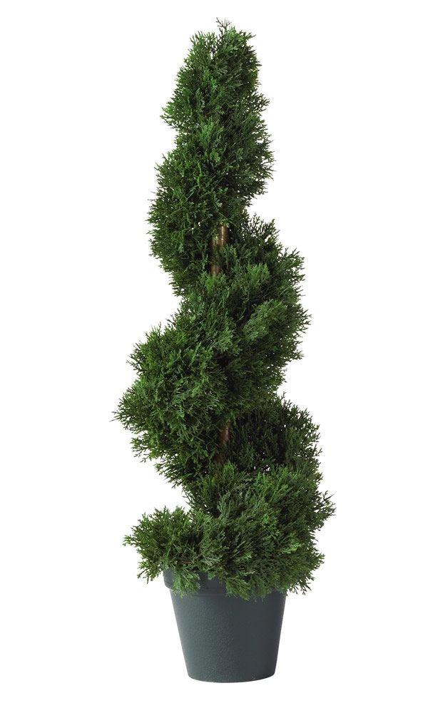 2 Cedar Spiral Silk Tree (In-door/Out-door)