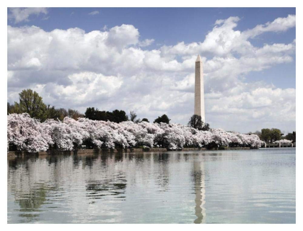 Washington Monument, Washington, D.C. - Vintage Style Photo Tint Variant-Paper Art-42x32”