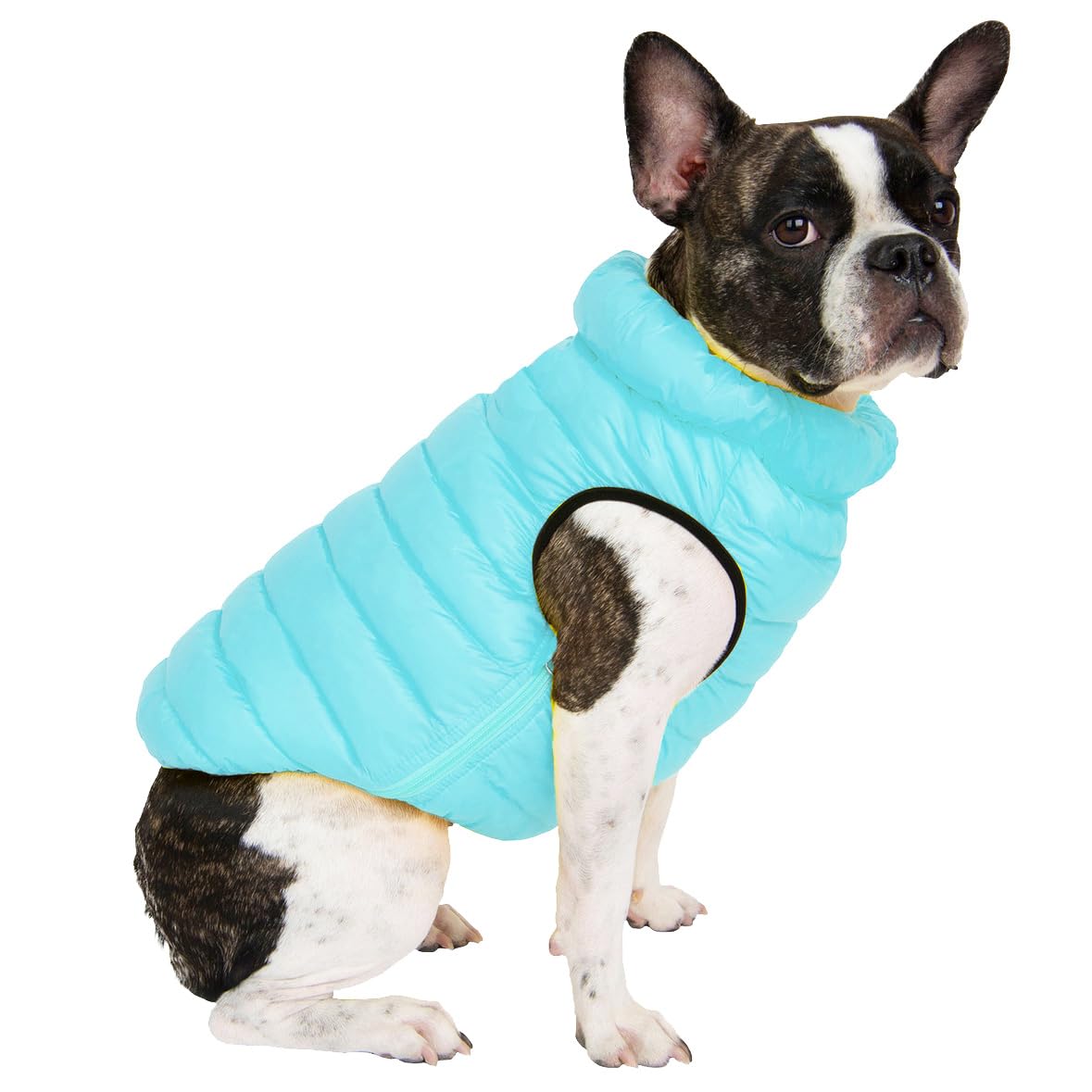 Pet Life  Pursuit Quilted Ultra-Plush Thermal Dog Jacket - X-Large / Blue