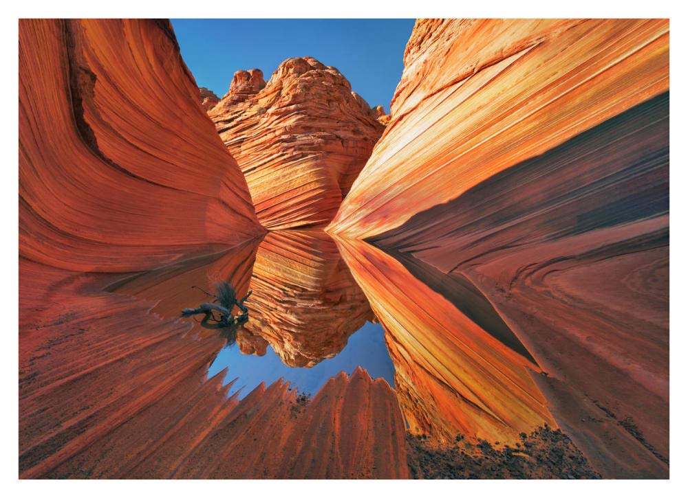 The Wave in Vermillion Cliffs, Arizona-Paper Art-38x28”