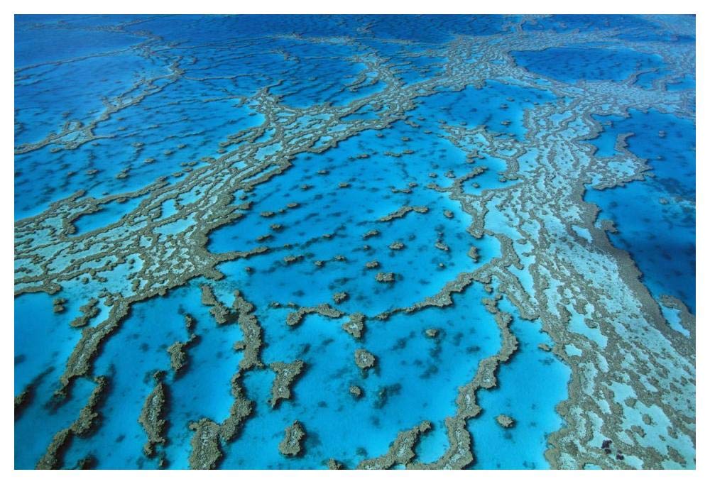 Aerial view of coral formations in Hardy Reef, Great Barrier Reef, Queensland, Australia-Paper Art-50x34”