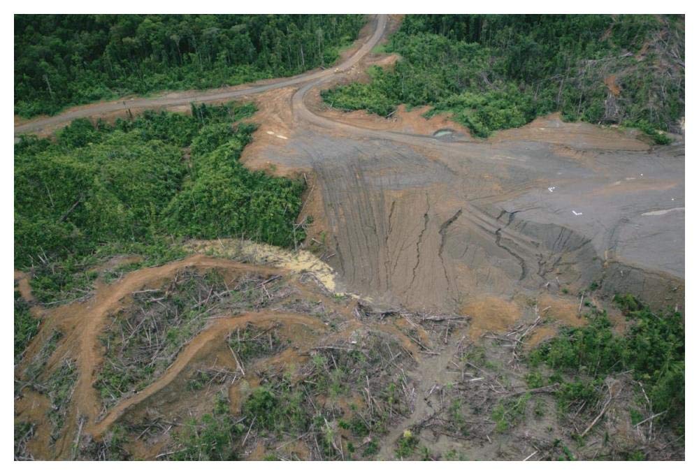 Rainforest logging activities near eastern boundary of the Kikori Delta, Papua New Guinea-Paper Art-50x34”