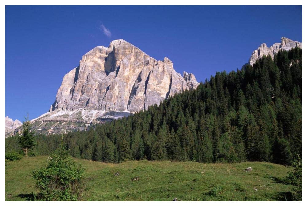 Tofana di Rozes, view of cliff face, Italian Dolomites, Italy-Paper Art-62x42”