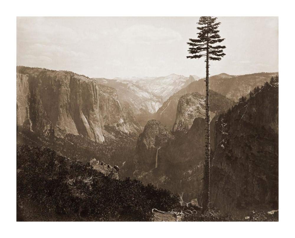 Yosemite Valley from the Best General View, 1866-Paper Art-18x14”