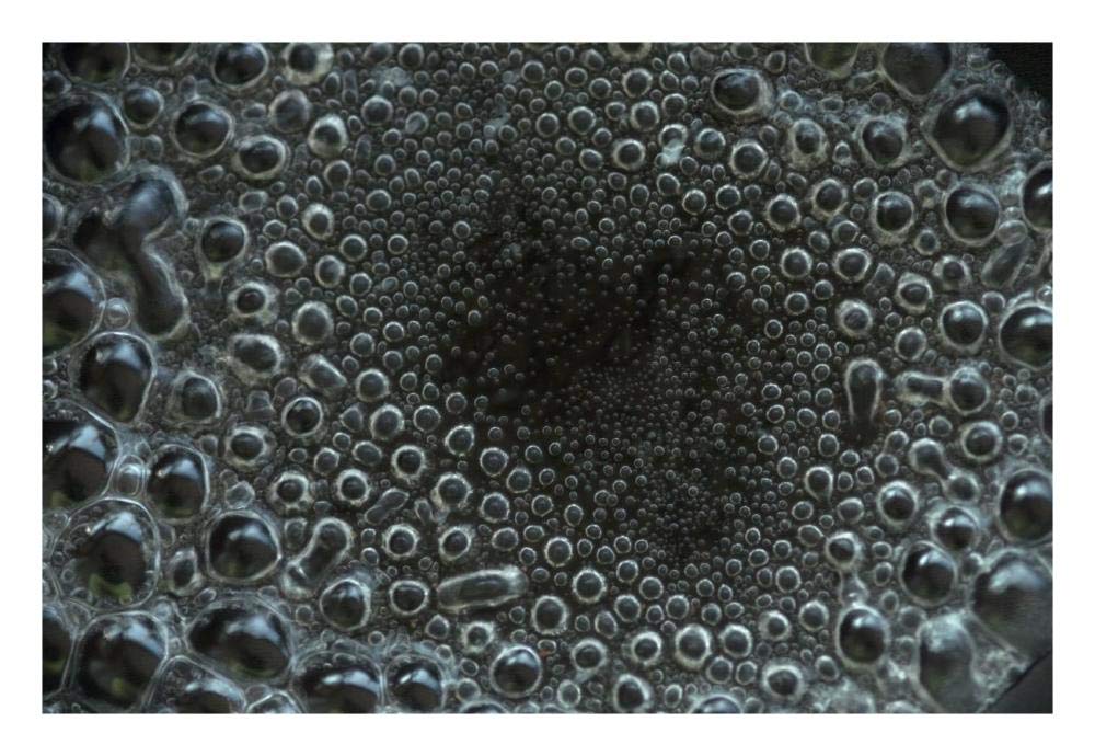 Water boiling in pan-Paper Art-26x18”
