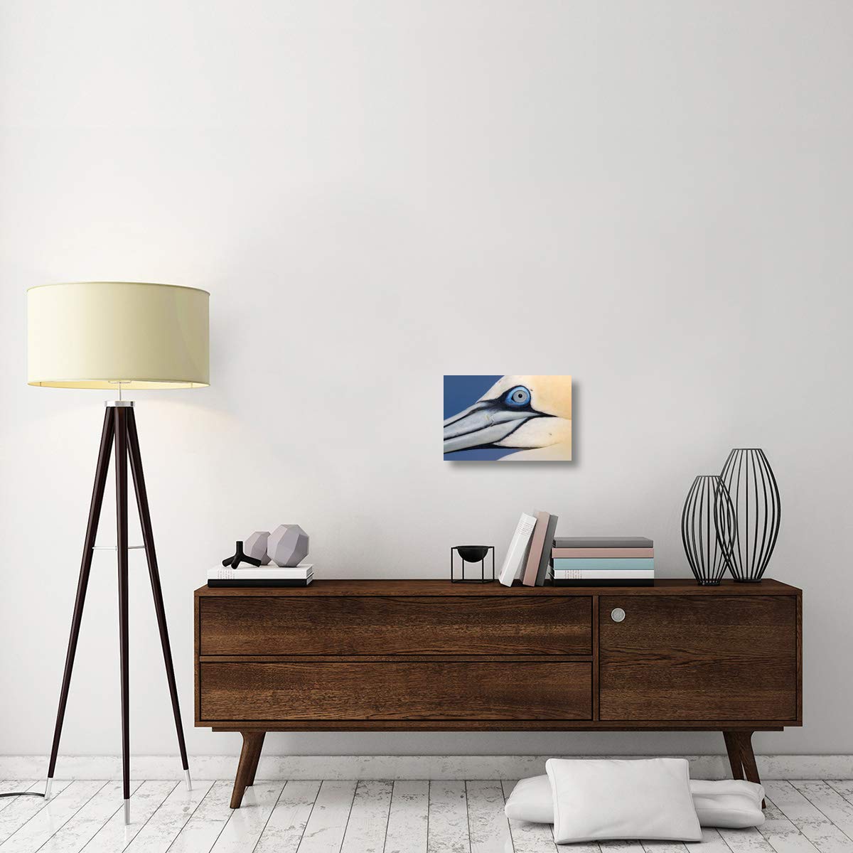 Northern Gannet profile, Saltee Islands, Ireland-Canvas Art-18x12”
