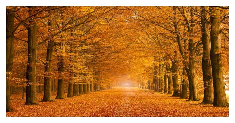 Woods in autumn-Paper Art-38x20”