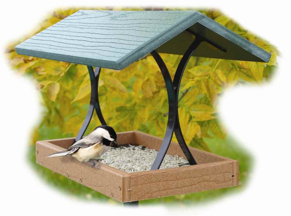 Going Green????????Fly Thru Feeder