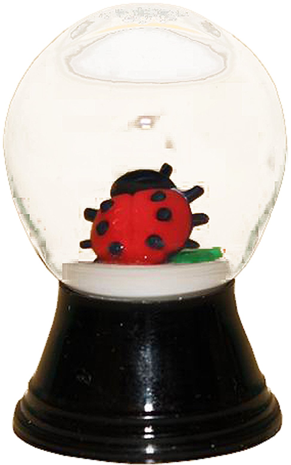 SNOGLBE-MINI LADYBUG EACH