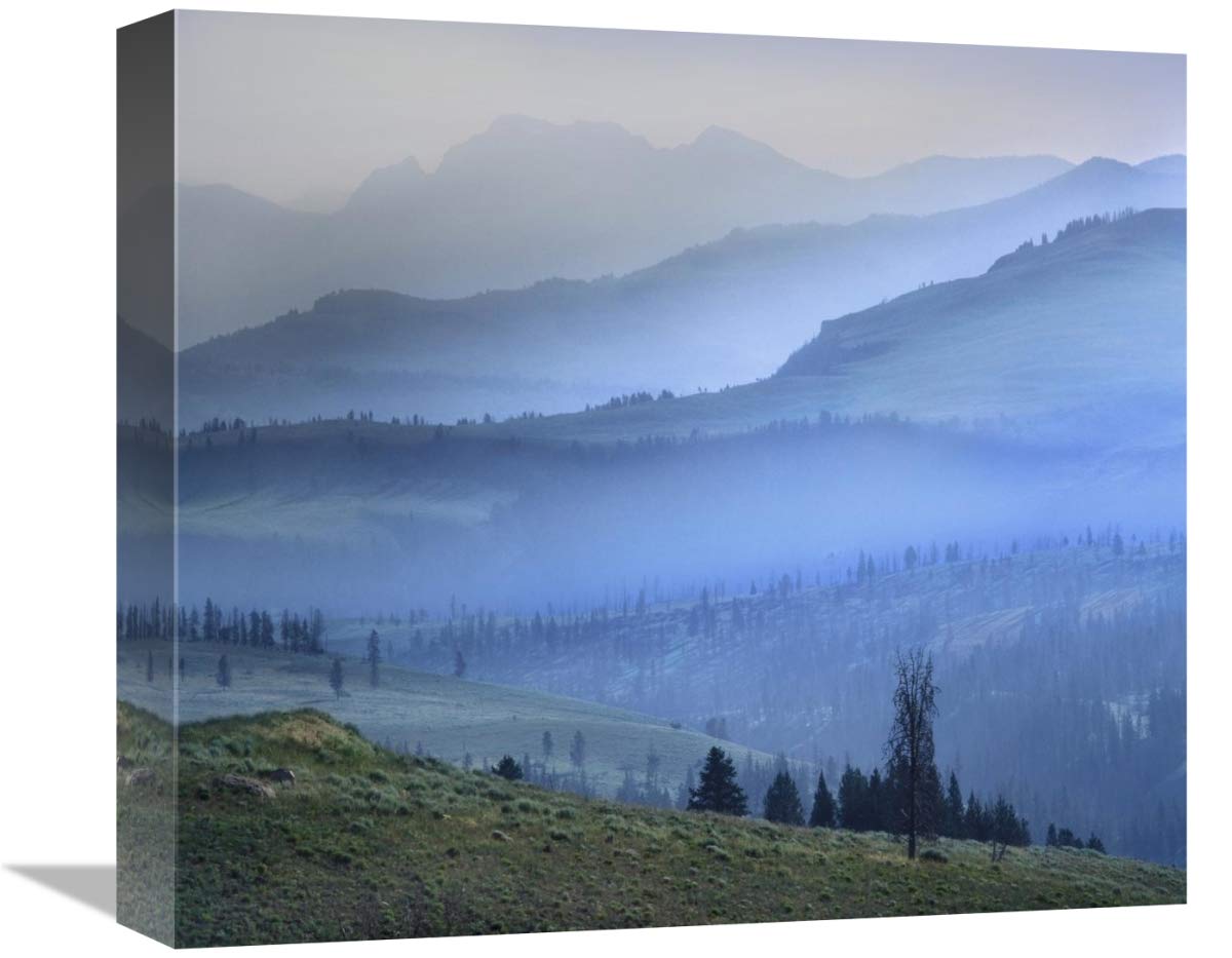 Mist over Absaroka Range, Yellowstone National Park, Wyoming-Canvas Art-16x14.24”
