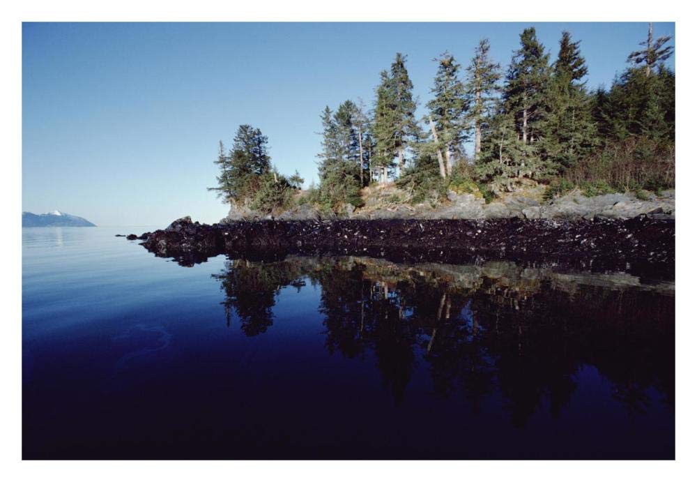 High tide mark shows oil spilled by Exxon Valdez, Prince William Sound, Alaska-Paper Art-32x22”