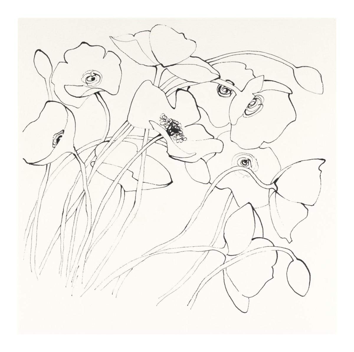Black Line Poppies II -Paper Art-20x20”