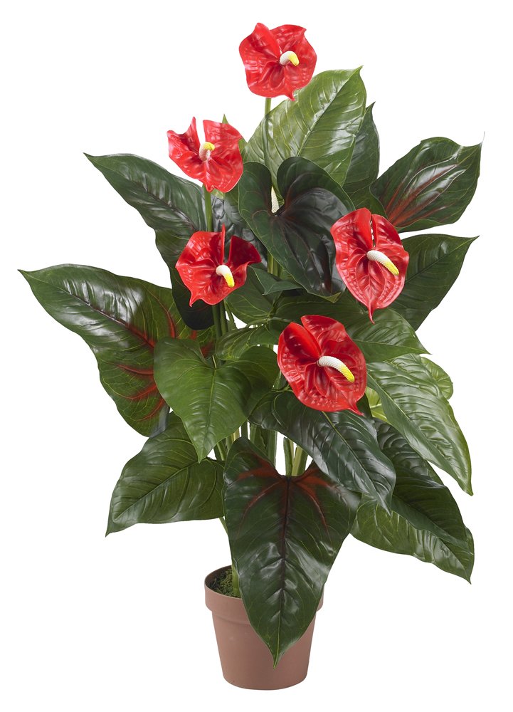 3″ Anthurium Silk Plant (Real Touch)
