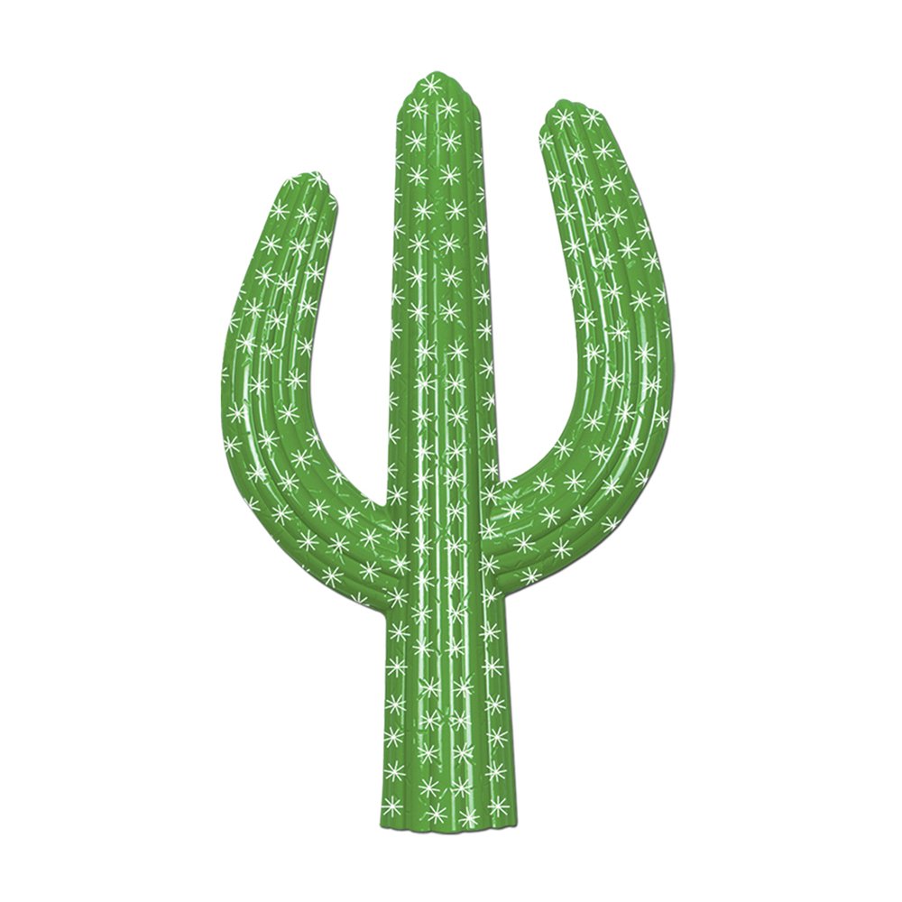 Plastic Cactus