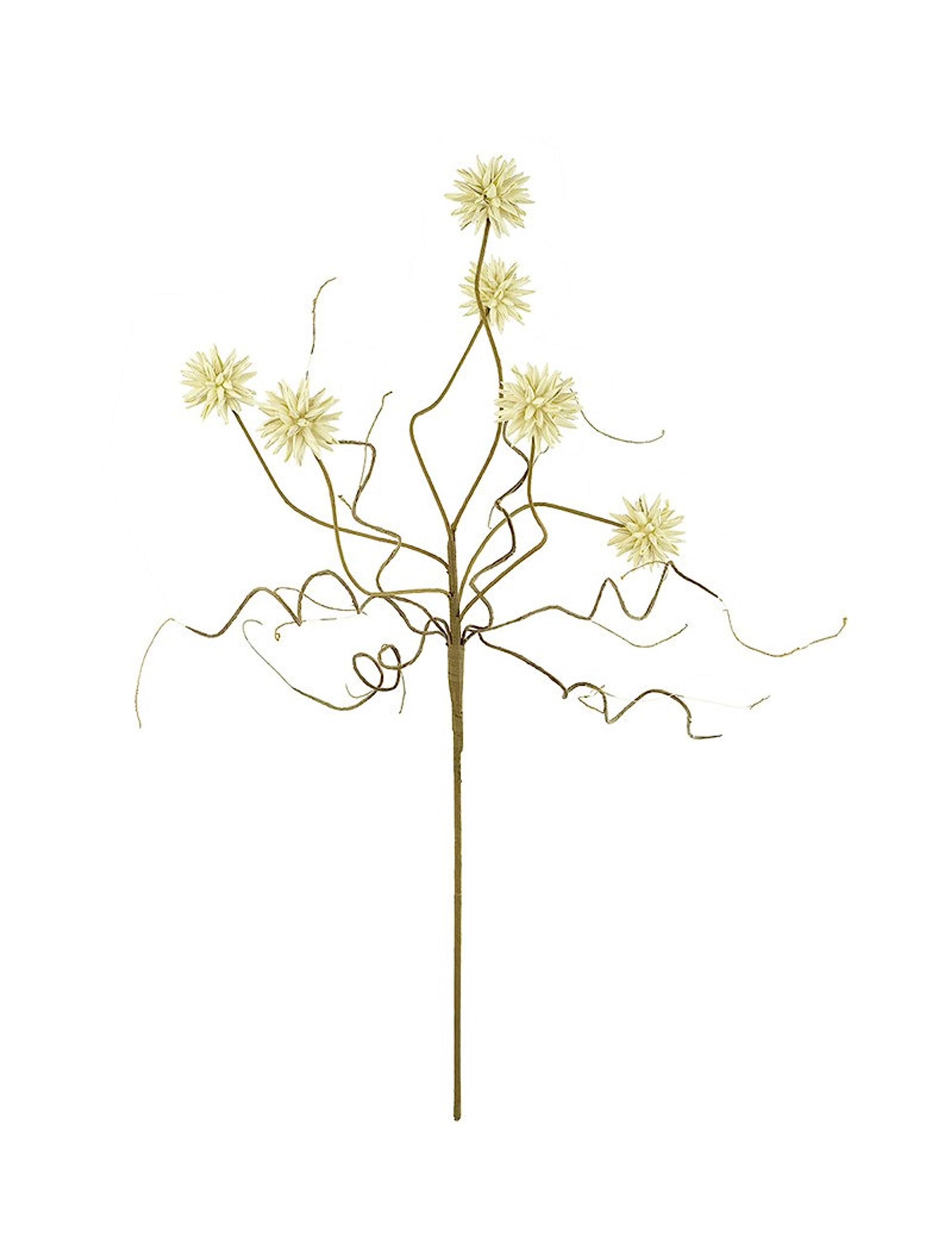 Botanica #2443