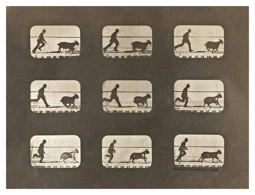 Motion Study: Man Chasing A Goat-Paper Art-42x32”