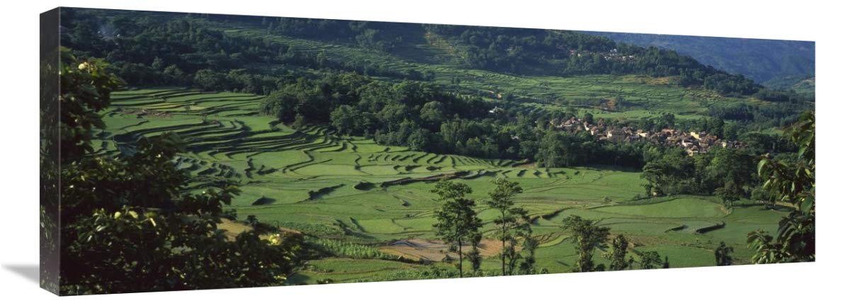 Rice terraced fields, China-Canvas Art-36x13.32”