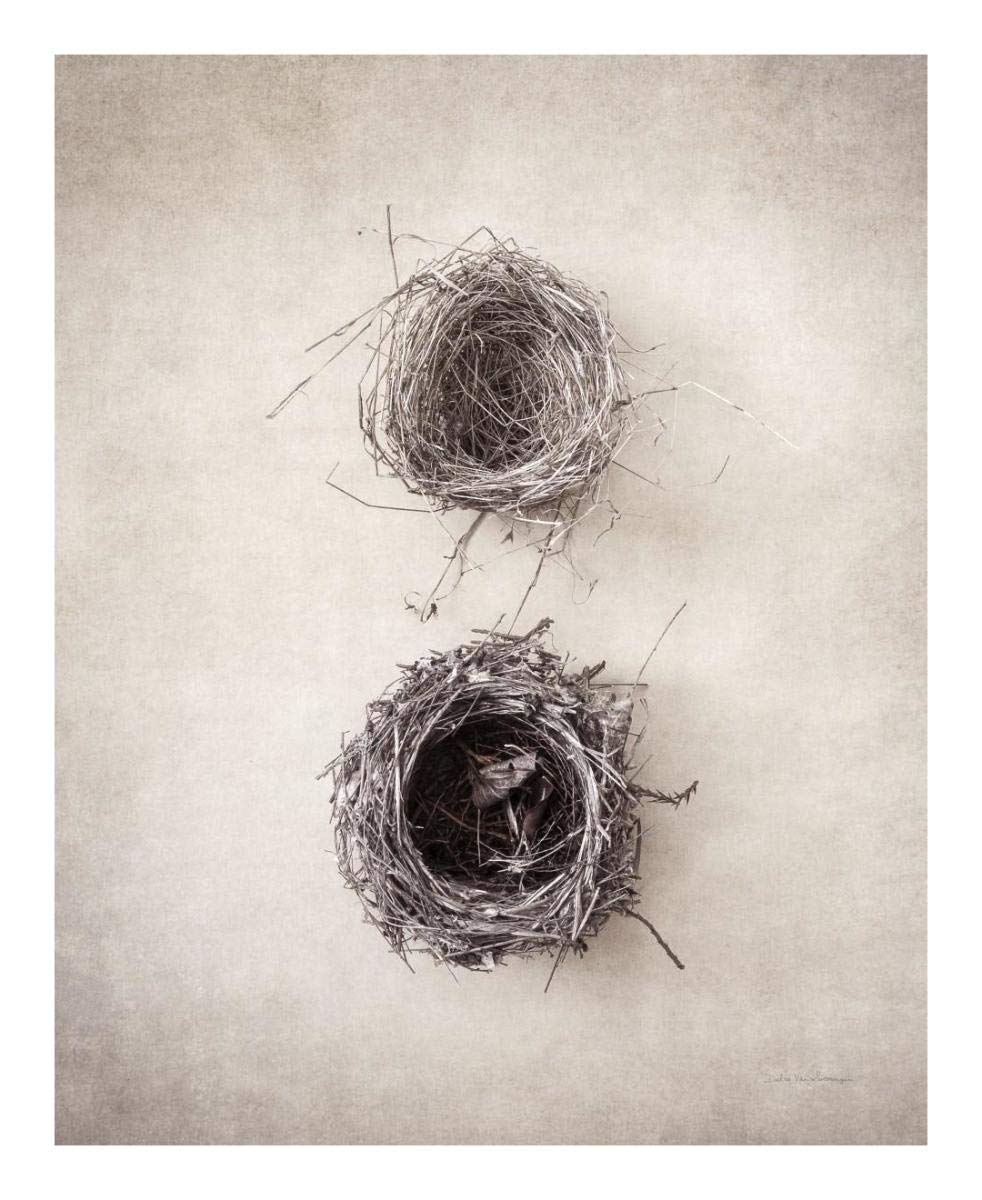 Nest IV -Paper Art-18x22”